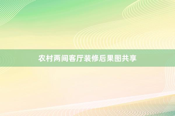 农村两间客厅装修后果图共享