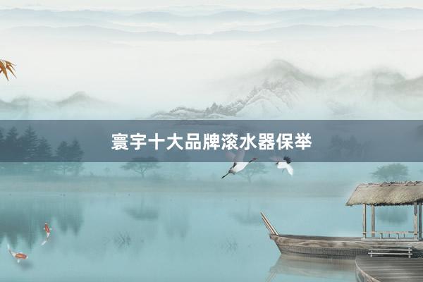寰宇十大品牌滚水器保举